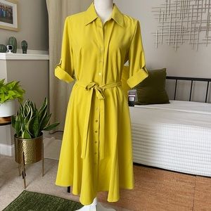 Nwt A line button down dress Size 10